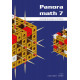 PanoraMath 7