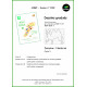 Dessins gradués