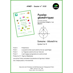 Puzzles géométriques