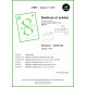 Nombres & solides