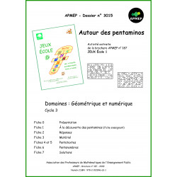AUTOUR DES PENTAMINOS