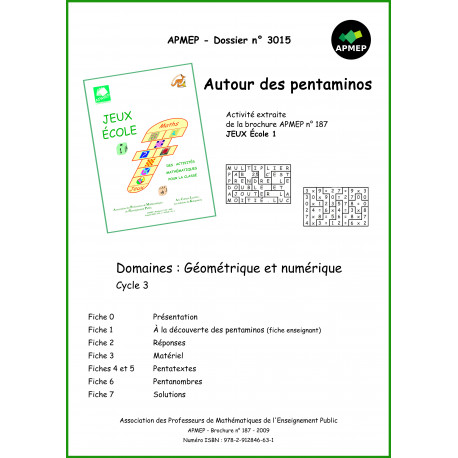 AUTOUR DES PENTAMINOS